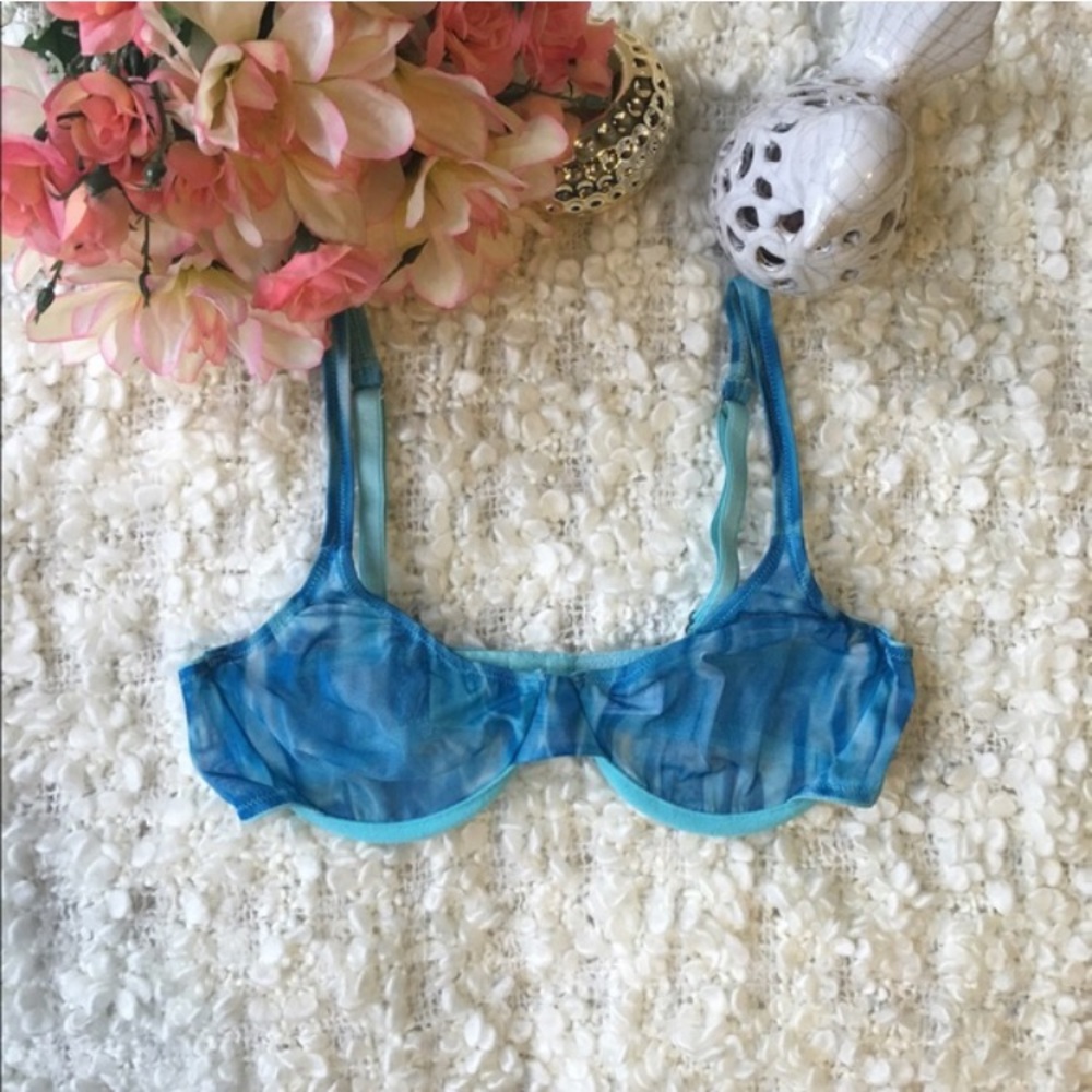 Express | Sheer Blue Bra